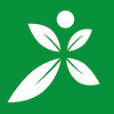 绿军交易字母哥拒出冈萨雷斯